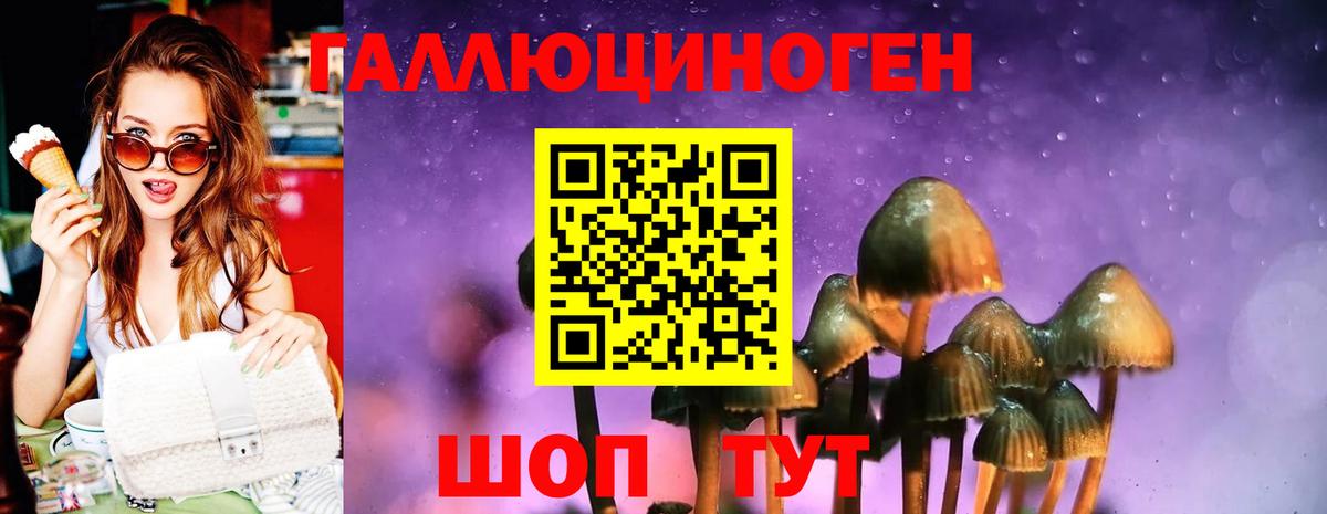 Псилоцибиновые грибы MAGIC MUSHROOMS  Вход с VPN  Омск 